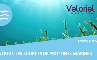bandeau-focus-proteines-marines-valorial