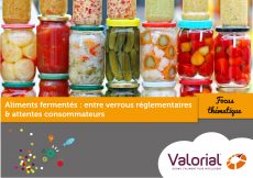 couv-focus-them-aliments-fermentes-2018-dv