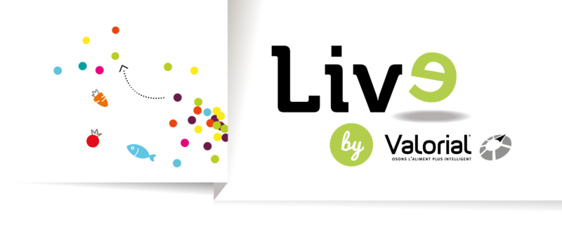 Live by Valorial - Newsletter Valorial