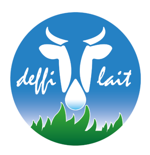 logo deffilait