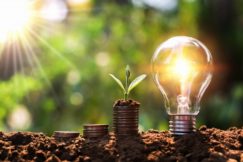 light-bulb-soil-with-young-plant-growing-money-stack-saving-finance-energy-concept_34152-1357