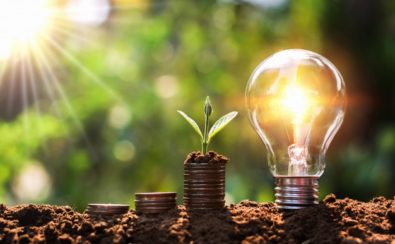 light-bulb-soil-with-young-plant-growing-money-stack-saving-finance-energy-concept_34152-1357