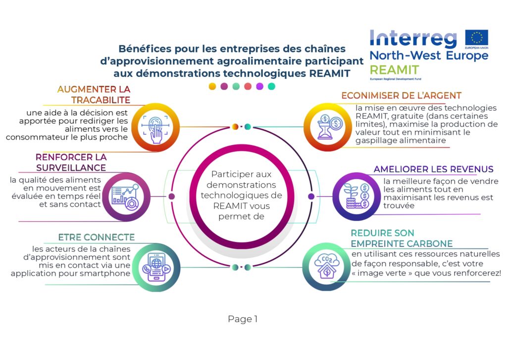 Infographie_Benefices_REAMIT_page-01