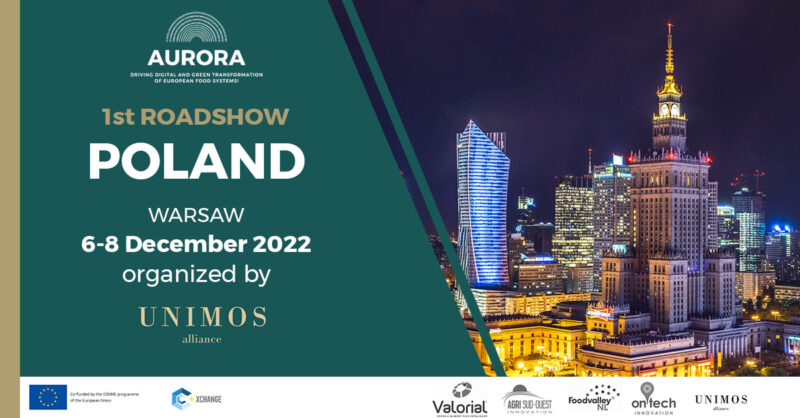 Banner-Roadshow-Poland_AURORA