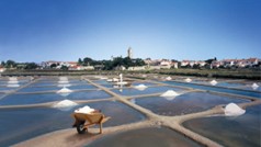 Coopérative de sel de l’île de Noirmoutier - Focus adhérent Valorial