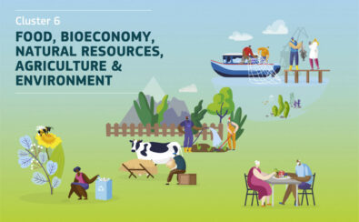 Projets Horizon Europe 2023