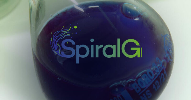 Spiralg - événement final projet