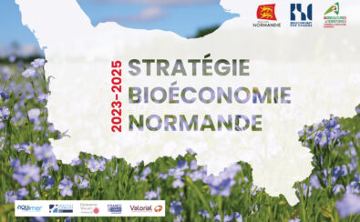 Doc Stratégie Normandie 2023-2025 - 6 (002)-01