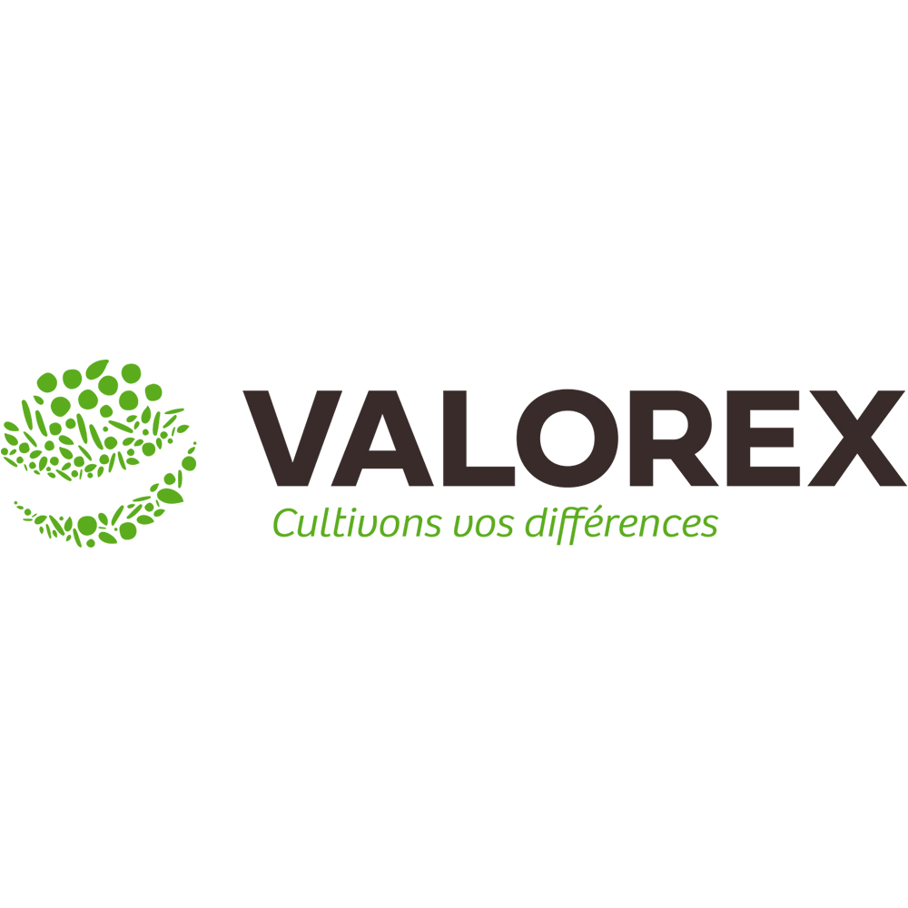 VALOREX